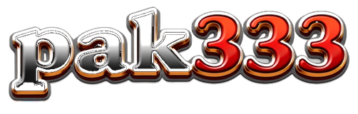 pak333 logo